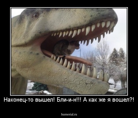 Наконец-то вышел! Бли-и-н!!! А как же я вошел?!