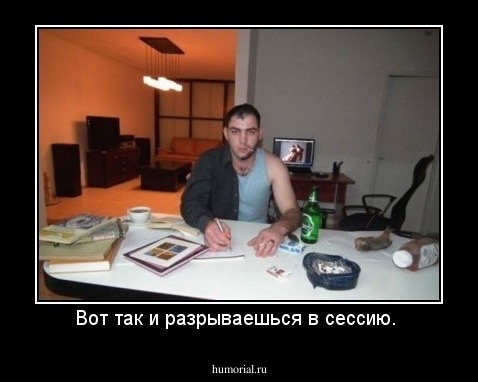 Вот так и разрываешься в сессию. 