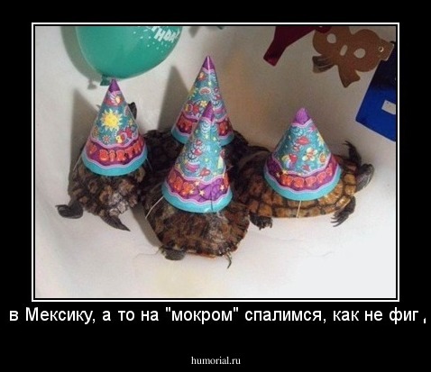 -Валим в Мексику, а то на "мокром" спалимся, как не фиг делать!