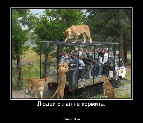 Людей с лап не кормить.