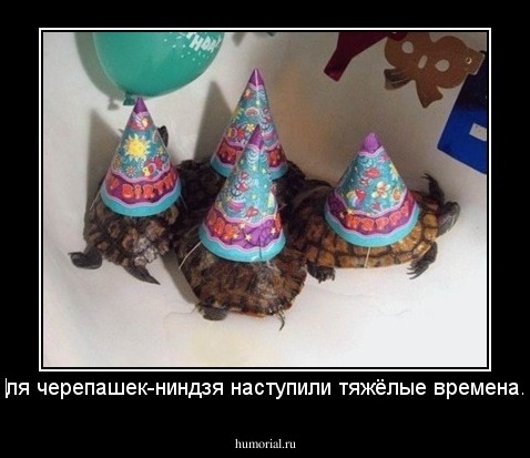 Для черепашек-ниндзя наступили тяжёлые времена...