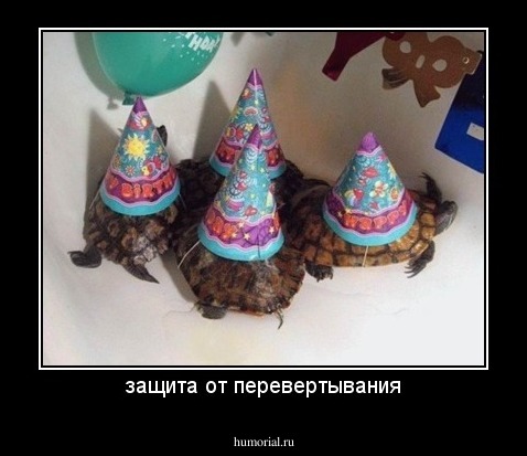 защита от перевертывания