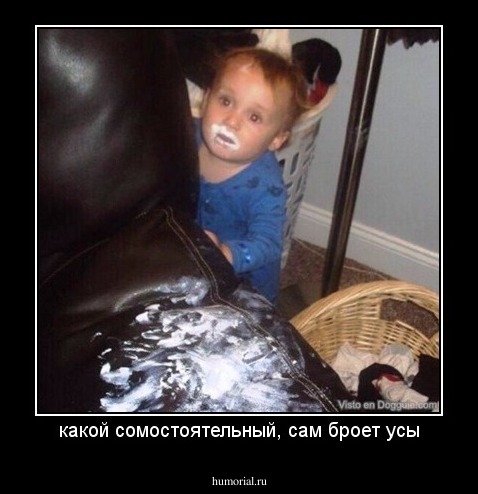 какой сомостоятельный, сам броет усы