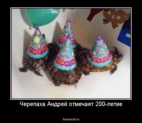 Черепаха Андрей отмечает 200-летие