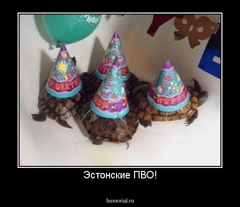 Эстонские ПВО!