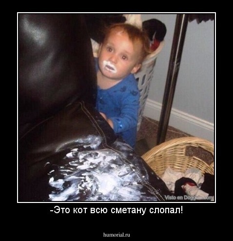 -Это кот всю сметану слопал!