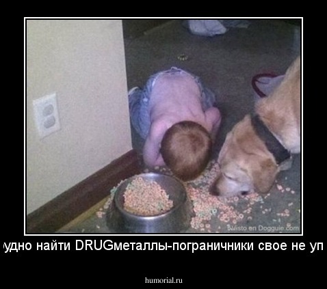 как трудно найти DRUGметаллы-пограничники свое не упустят!