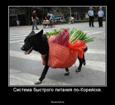 Система быстрого питания по-Корейски.