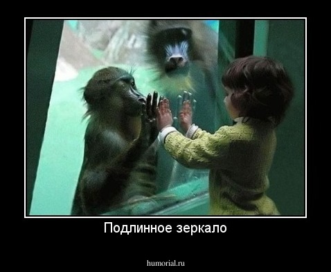 Подлинное зеркало