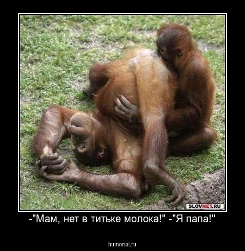 -"Мам, нет в титьке молока!" -"Я папа!"