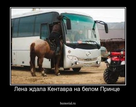 Лена ждала Кентавра на белом Принце 