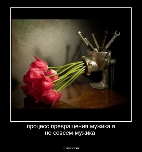 процесс превращения мужика в не совсем мужика