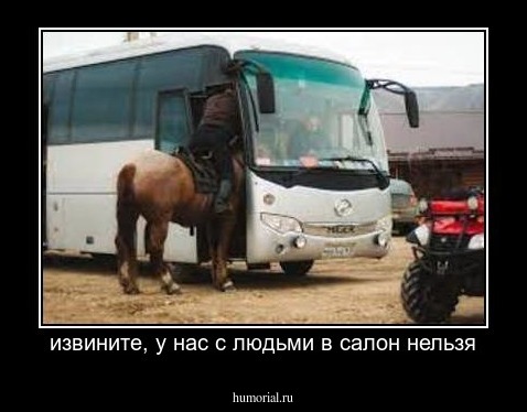 извините, у нас с людьми в салон нельзя