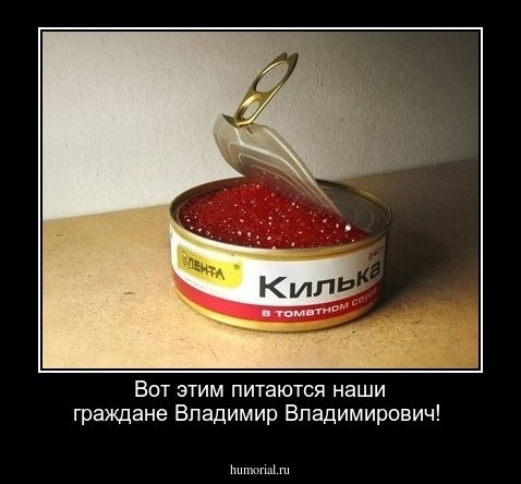 Вот этим питаются наши граждане Владимир Владимирович!