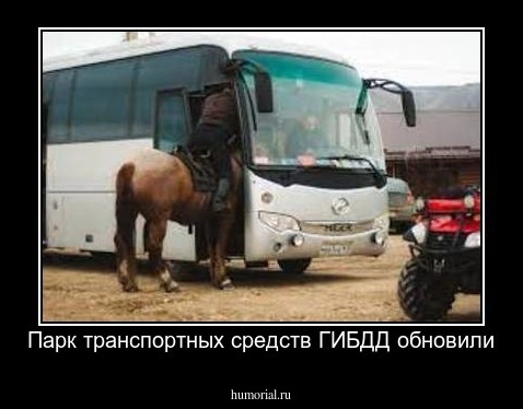 Парк транспортных средств ГИБДД обновили
