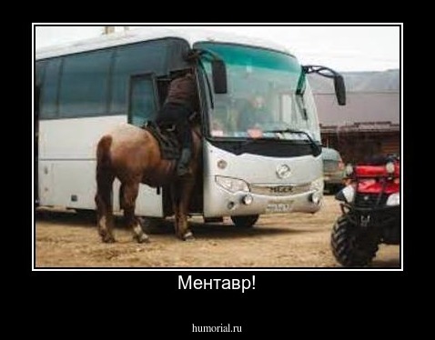 Ментавр!