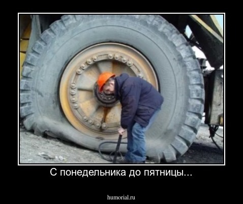 С понедельника до пятницы...