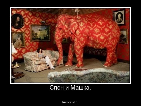 Слон и Машка.
