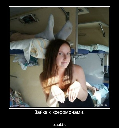 Зайка с феромонами.