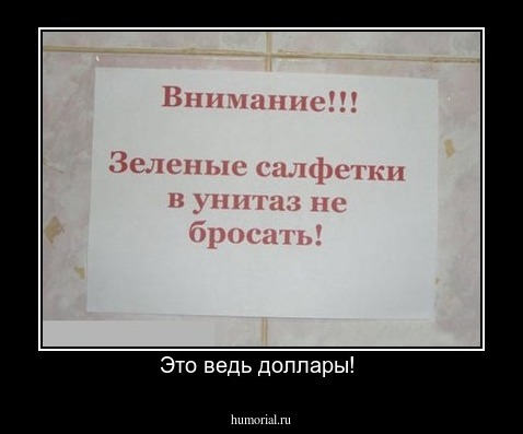 Это ведь доллары! 