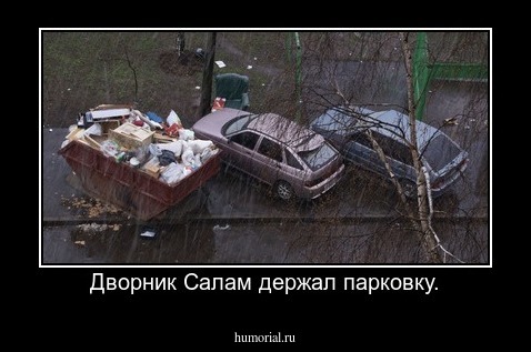 Дворник Салам держал парковку.
