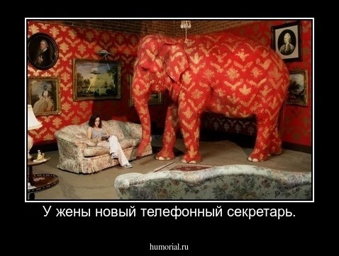 У жены новый телефонный секретарь.