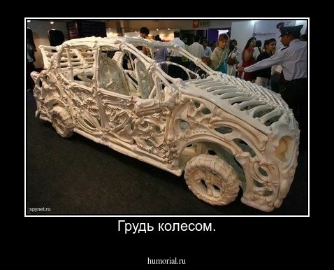 Грудь колесом.