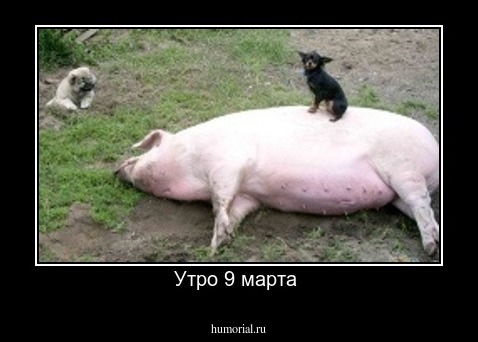Утро 9 марта 