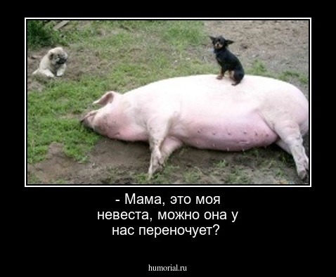 - Мама, это моя невеста, можно она у нас переночует?