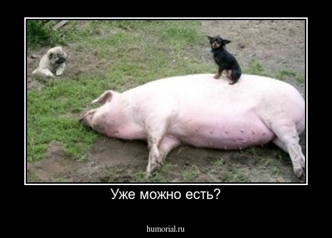 Уже можно есть?