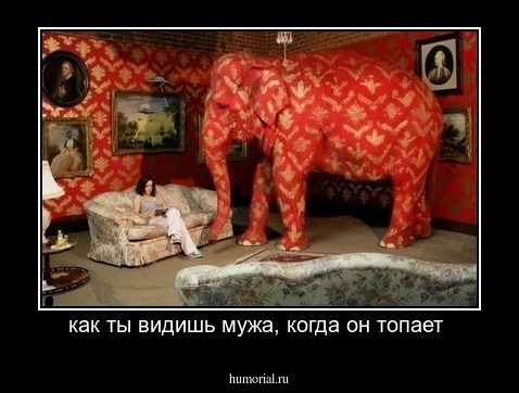 как ты видишь мужа, когда он топает 