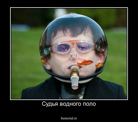 Судья водного поло