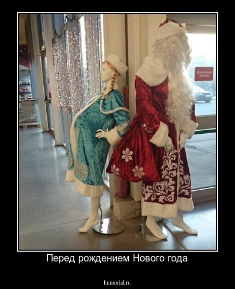 Перед рождением Нового года