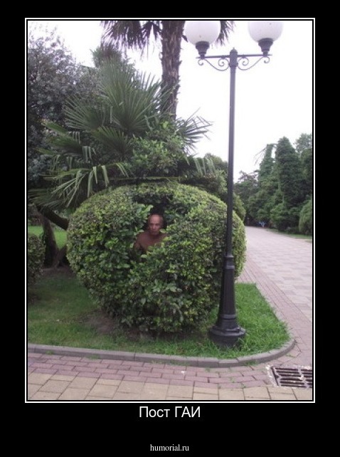 Пост ГАИ