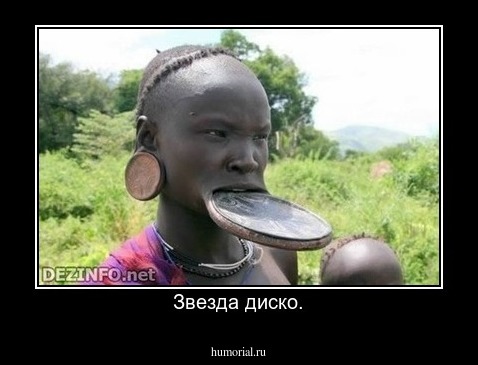 Звезда диско.