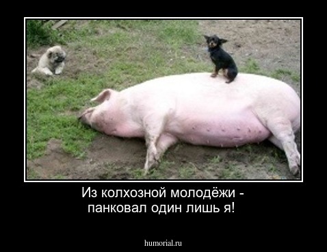 Из колхозной молодёжи - панковал один лишь я!