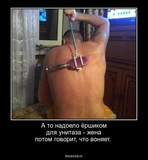 А то надоело ёршиком для унитаза - жена потом говорит, что воняет.