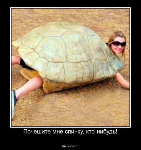 Почешите мне спинку, кто-нибудь!