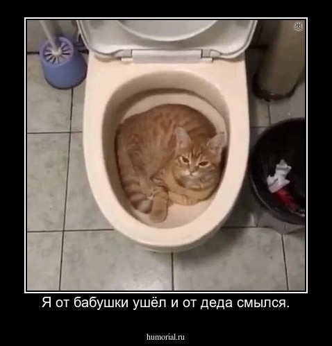 Я от бабушки ушёл и от деда смылся.