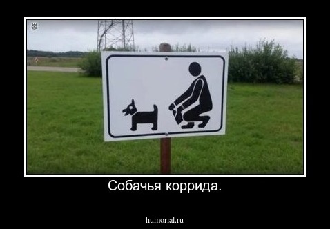 Собачья коррида.