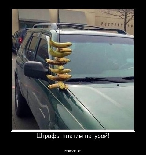Штрафы платим натурой!