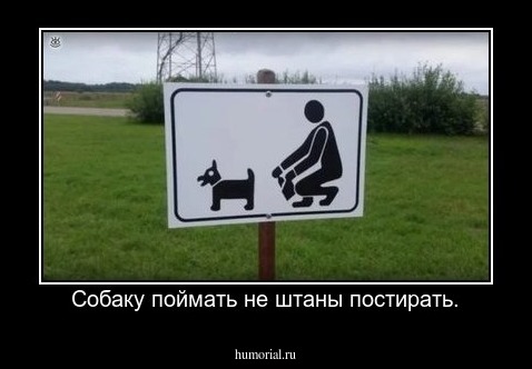 Собаку поймать не штаны постирать.
