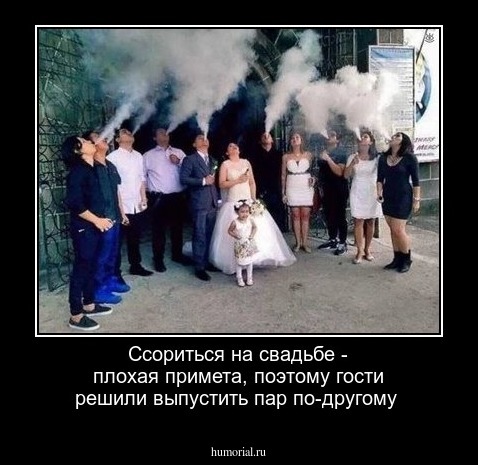 Ссориться на свадьбе - плохая примета, поэтому гости решили выпустить пар по-другому