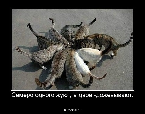  Семеро одного жуют, а двое -дожевывают.