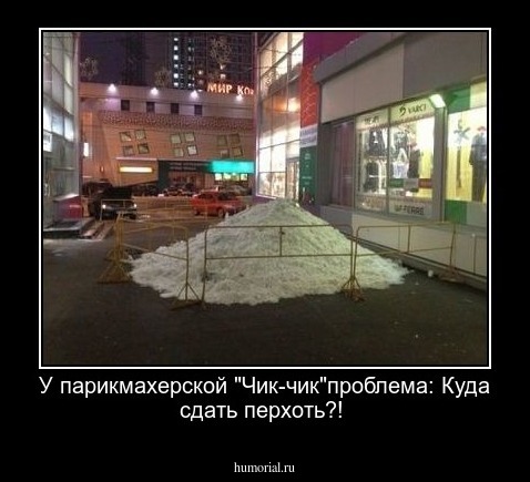 У парикмахерской "Чик-чик"проблема: Куда сдать перхоть?!