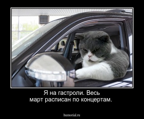 Я на гастроли. Весь март расписан по концертам.