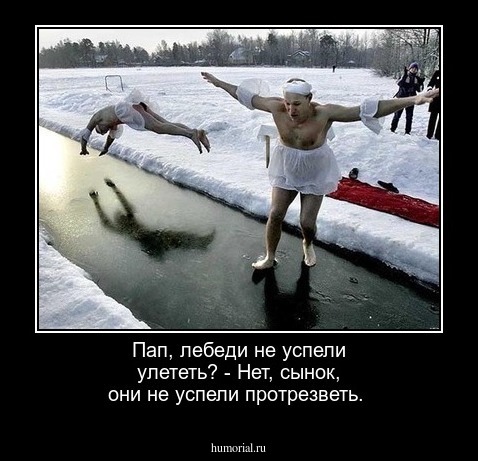 Пап, лебеди не успели улететь?   - Нет, сынок, они не успели протрезветь. 