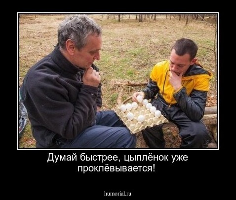 Думай быстрее, цыплёнок уже проклёвывается!