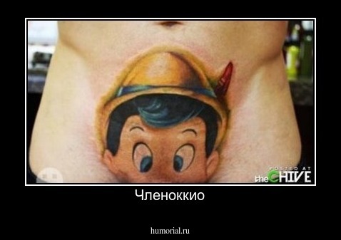 Членоккио