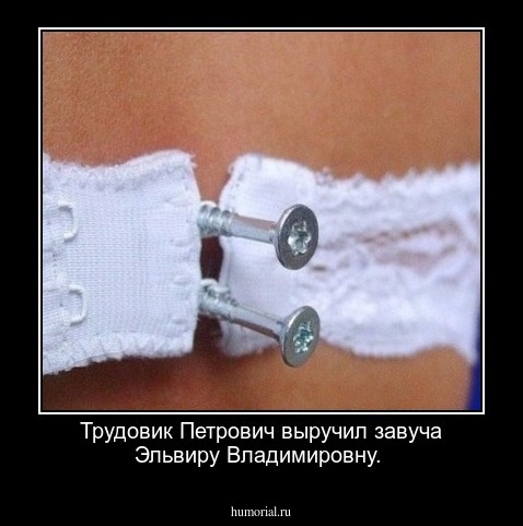  Трудовик Петрович выручил завуча Эльвиру Владимировну.
